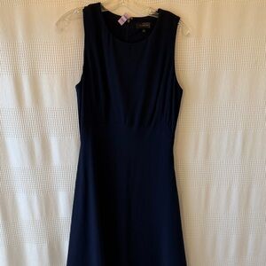 The Limited Navy Sleeveless A-Line Dress